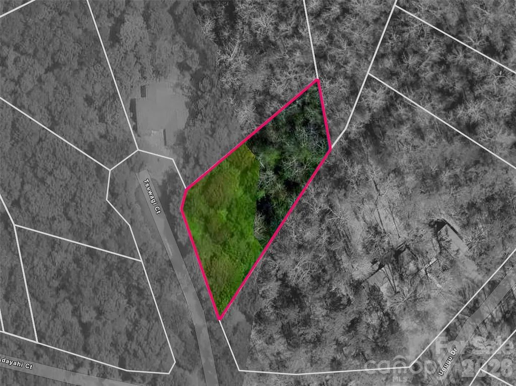 Tbd Tsvwagi Court Brevard NC 28712