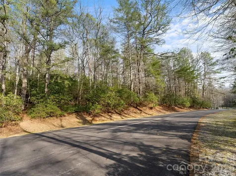 Tbd Tsvwagi Court Brevard NC 28712