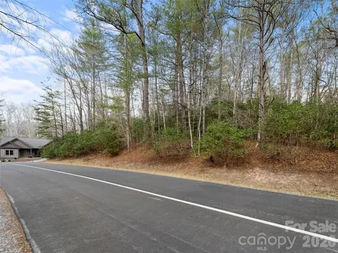 Tbd Tsvwagi Court Brevard NC 28712