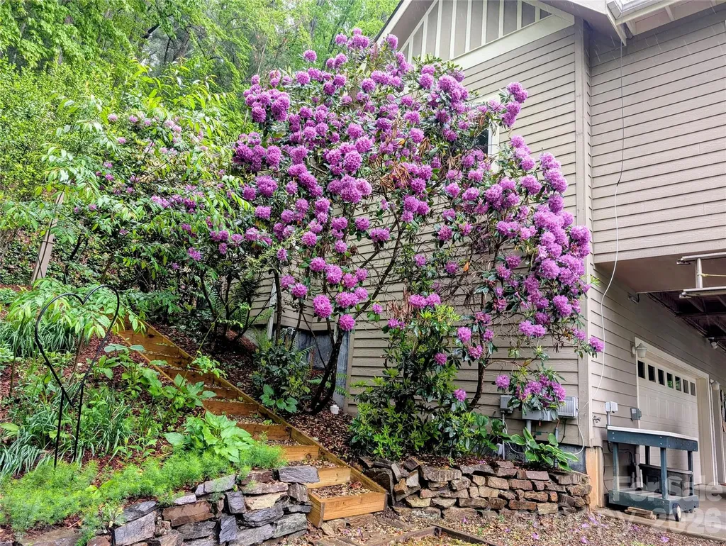 204 Briarcliff Asheville NC 28804