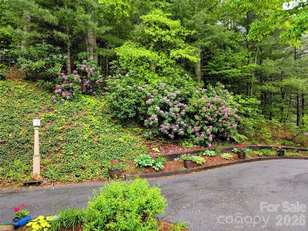 204 Briarcliff Asheville NC 28804