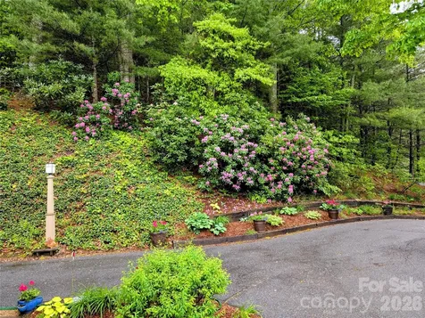 204 Briarcliff Asheville NC 28804