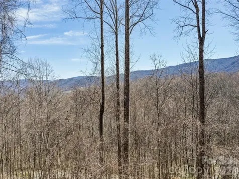 401 Tipstill Cove Waynesville NC 28786