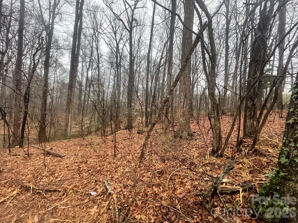 1502 Mount Ulla Highway Mooresville NC 28115