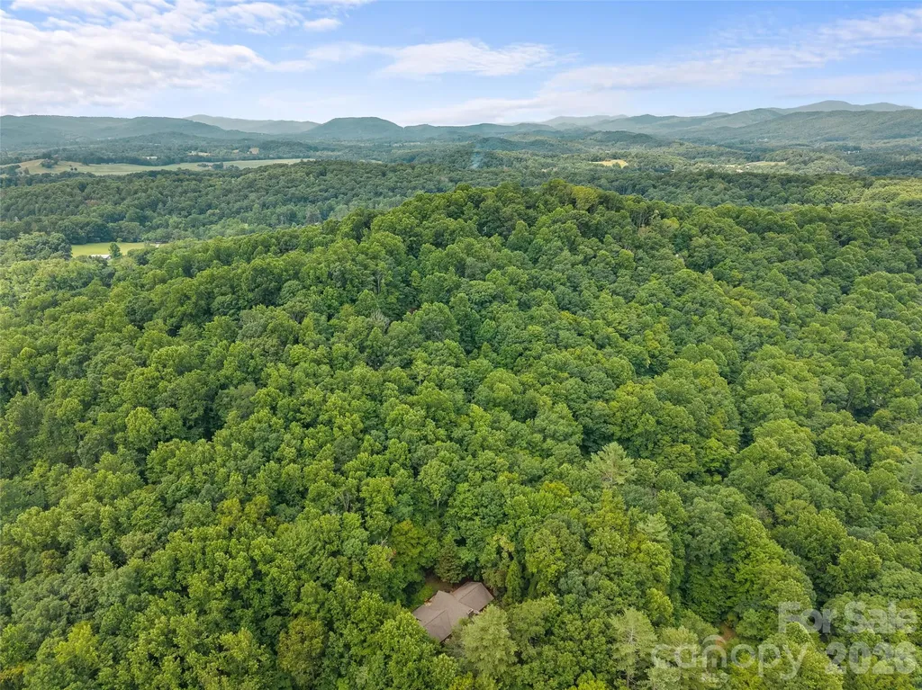6 Ravenwood Lane Horse Shoe NC 28742