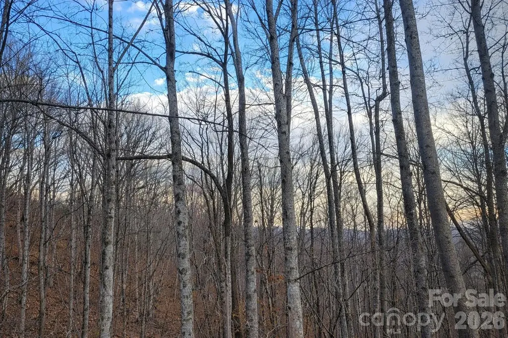 00 Upward Way Waynesville NC 28785