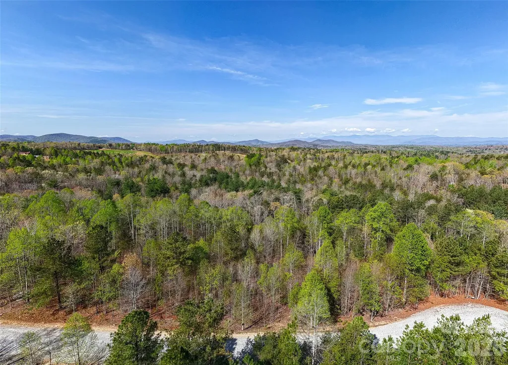 0 Tayberry Drive Nebo NC 28761