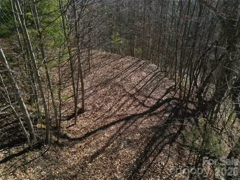 1165 Scenic Circle Waynesville NC 28786