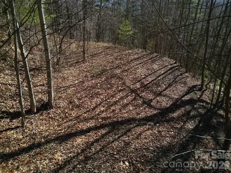1165 Scenic Circle Waynesville NC 28786