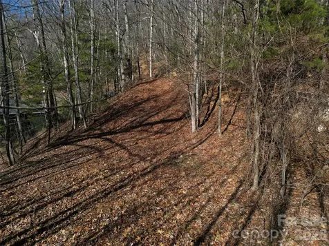 1165 Scenic Circle Waynesville NC 28786