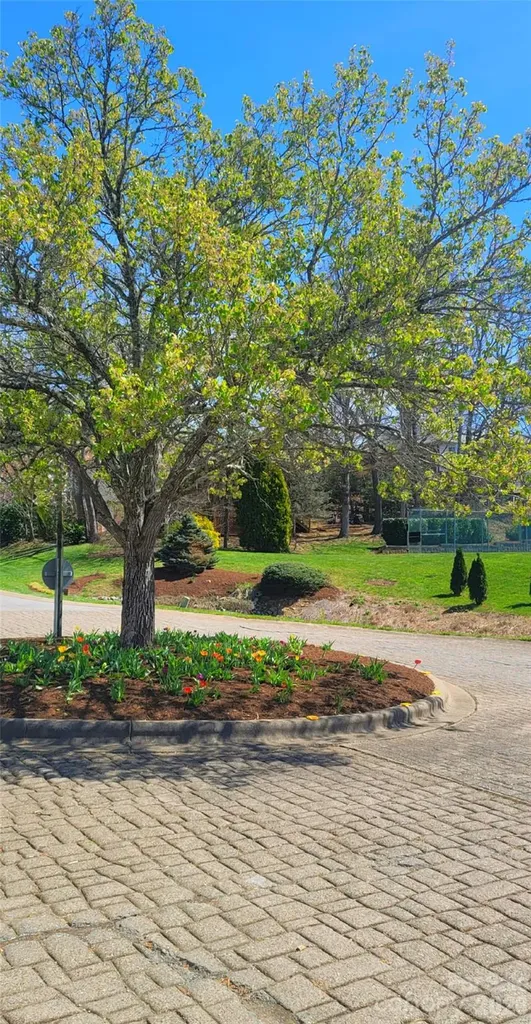 100 Thistle Knoll Court Asheville NC 28803