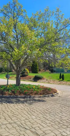 100 Thistle Knoll Court Asheville NC 28803