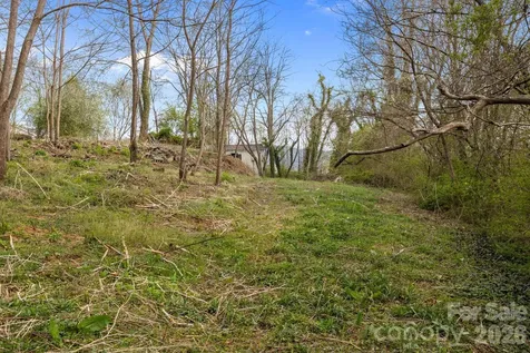 161 Pandora Circle Canton NC 28716