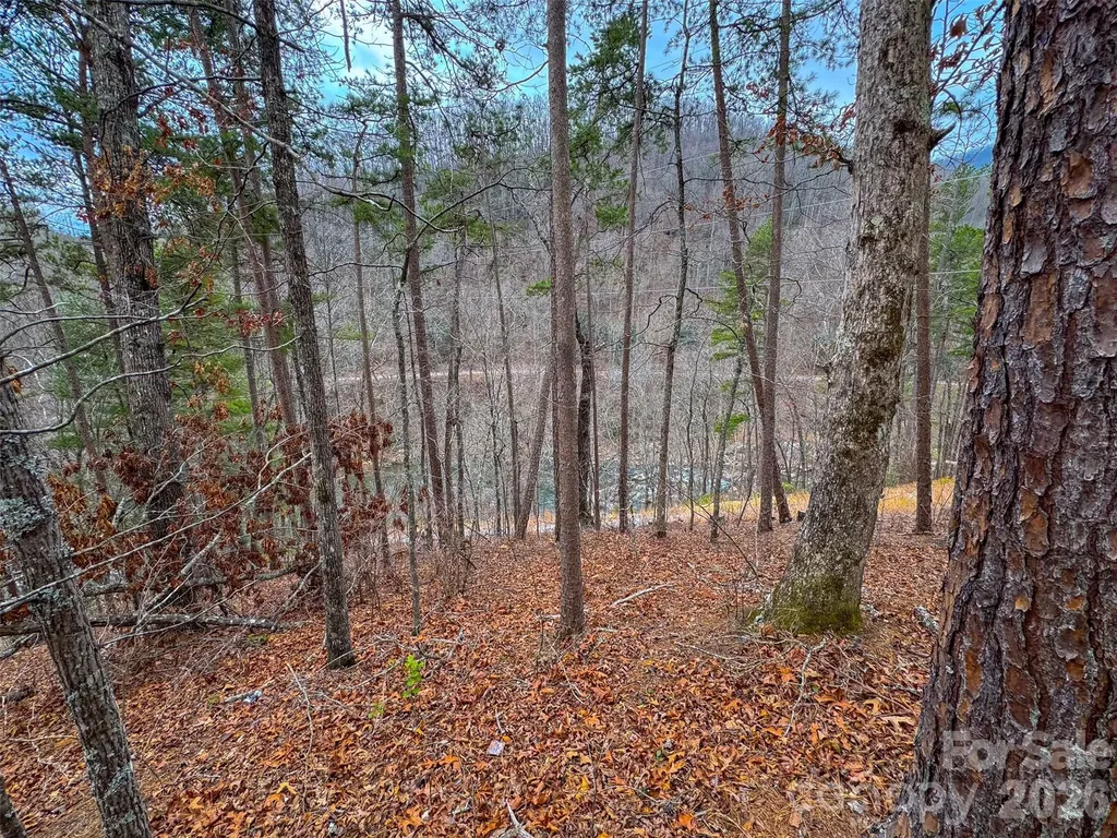 Lot 3 River Valley Estates Whittier NC 28789