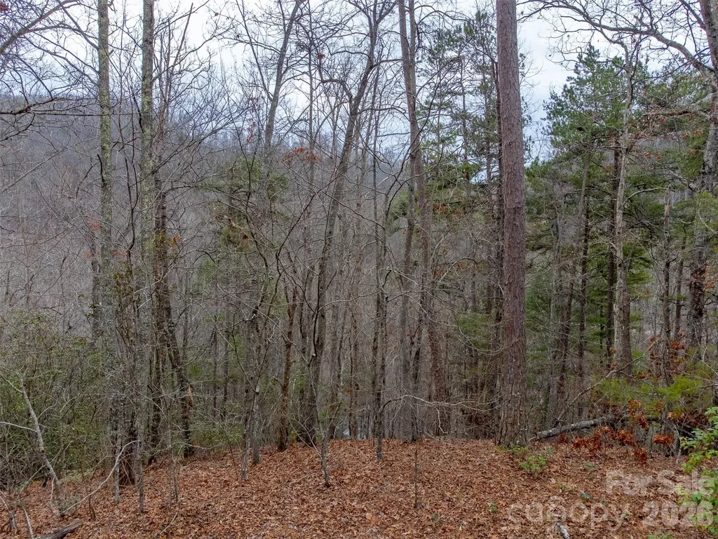 Lot 3 River Valley Estates Whittier NC 28789