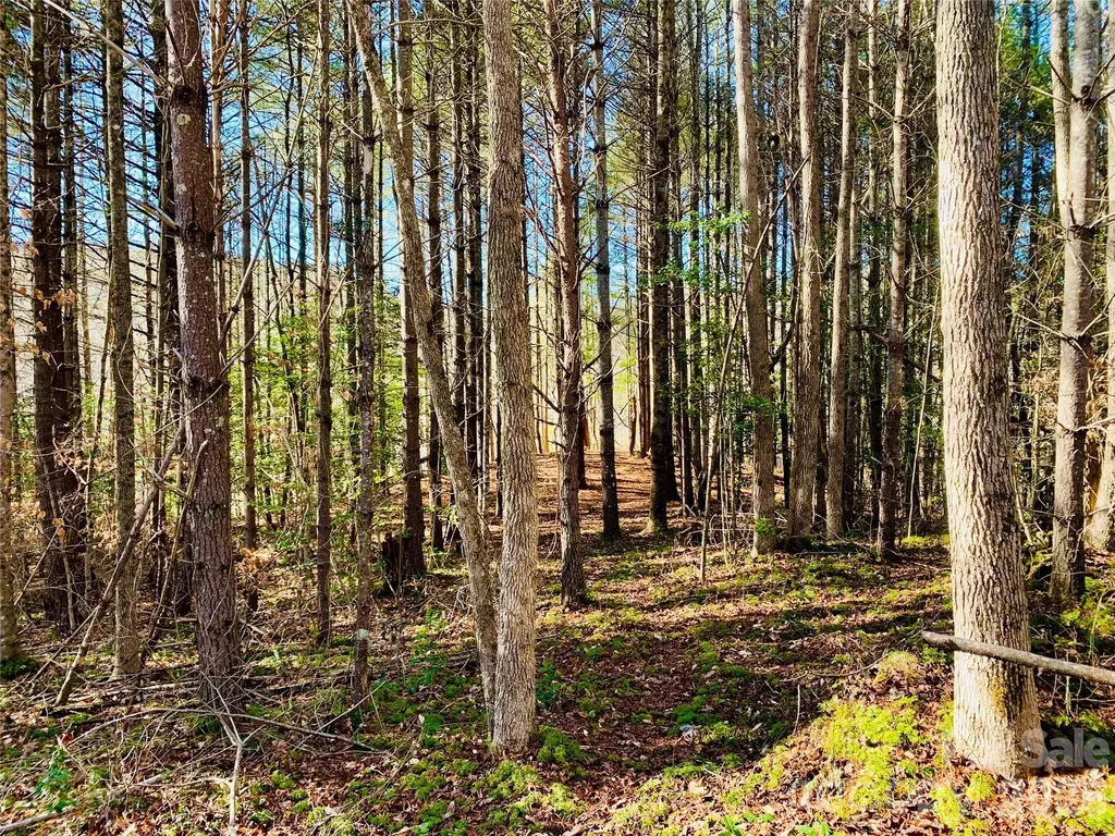 6129 Painted Ridge Trail Lenoir NC 28645