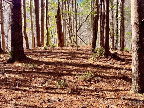6129 Painted Ridge Trail Lenoir NC 28645