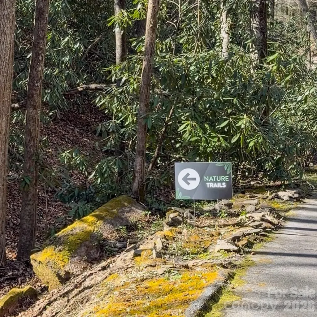 1270 Glen Cannon Drive Pisgah Forest NC 28768