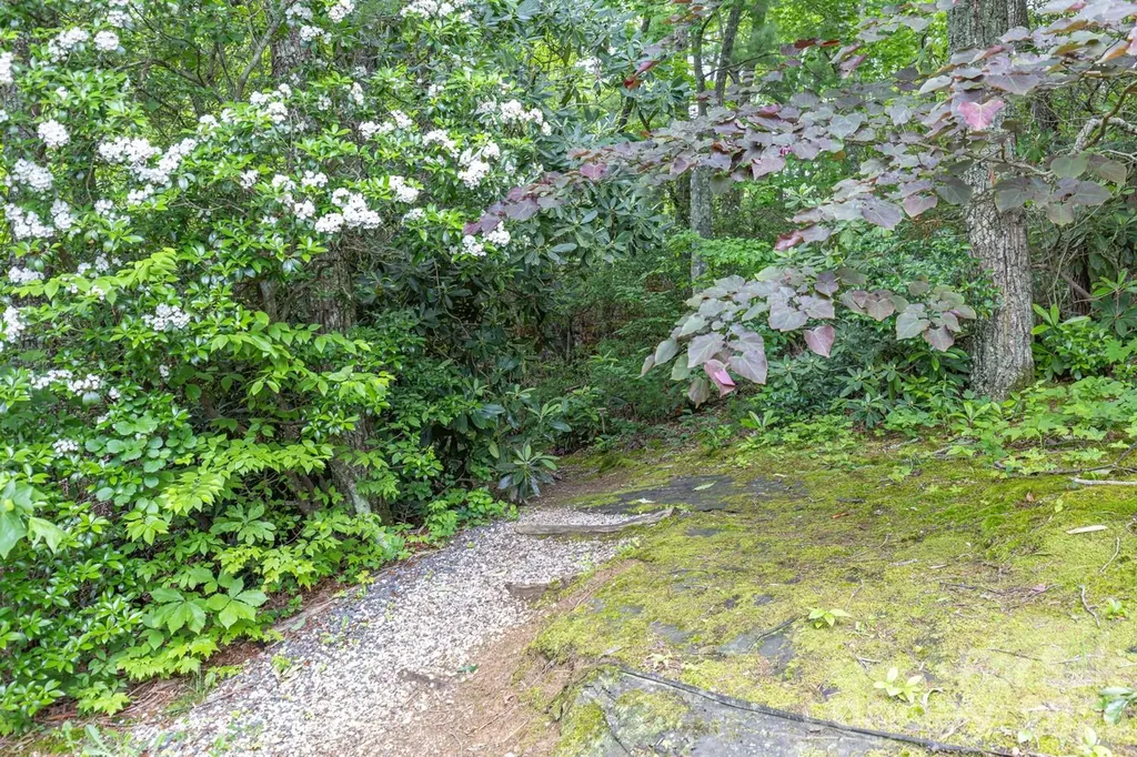 6 Grouse Terrace Fairview NC 28730