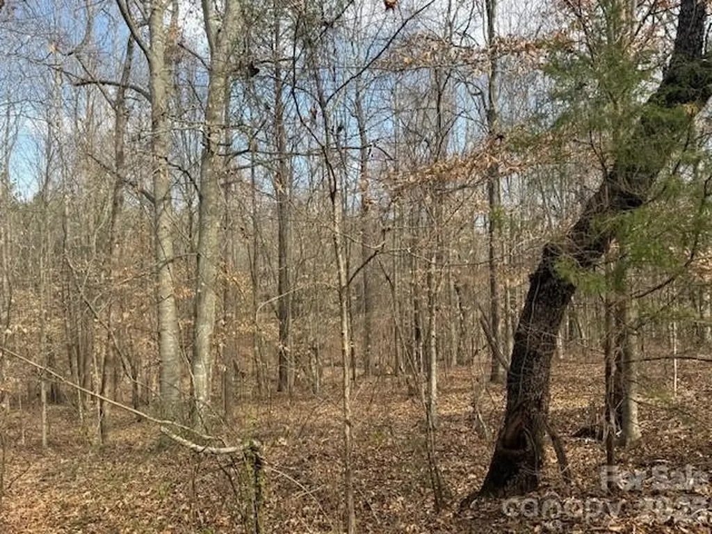 2837 Blacksburg Road Grover NC 28073