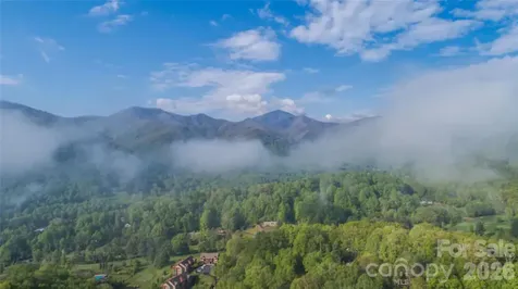 461 Ferguson Cove Loop Clyde NC 28721