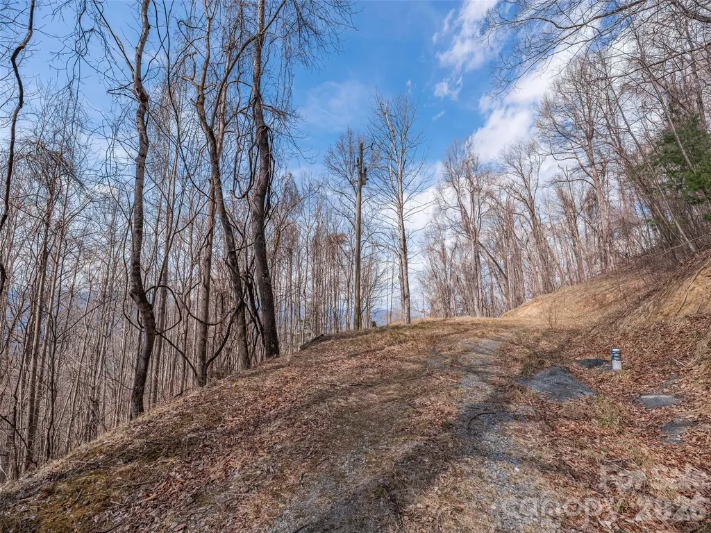 399 Goodson Spring Road Waynesville NC 28786