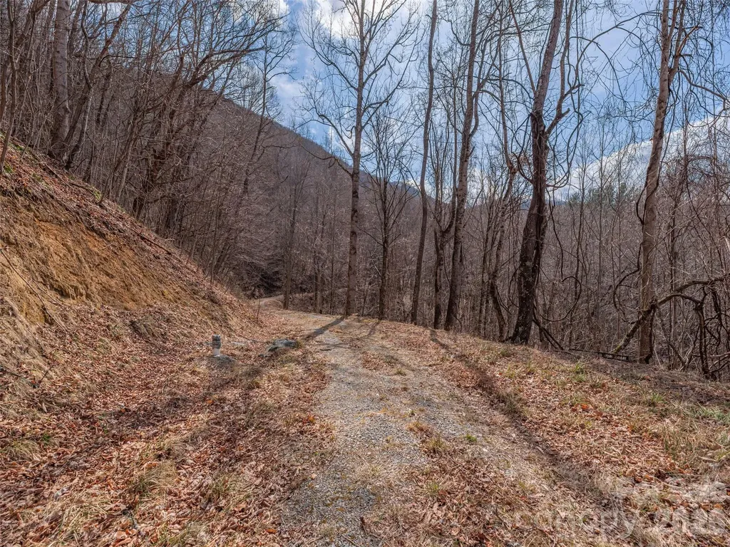 399 Goodson Spring Road Waynesville NC 28786