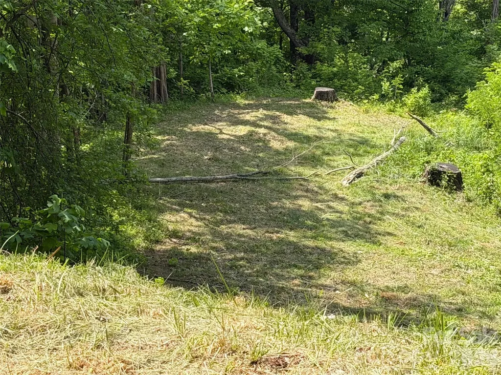 399 Goodson Spring Road Waynesville NC 28786