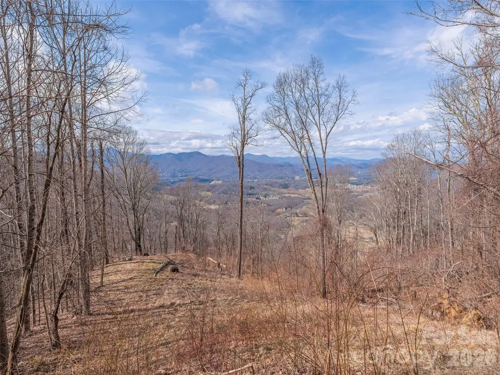 399 Goodson Spring Road Waynesville NC 28786