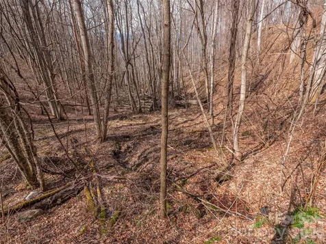 399 Goodson Spring Road Waynesville NC 28786