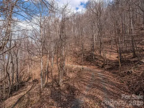 399 Goodson Spring Road Waynesville NC 28786