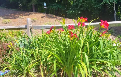 3938 Village Boulevard NW Conover NC 28613