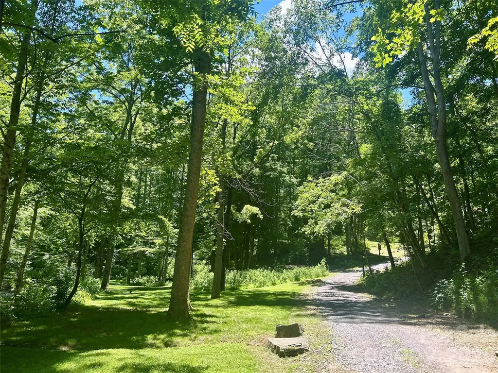 3301 State Highway 197 N Burnsville NC 28714
