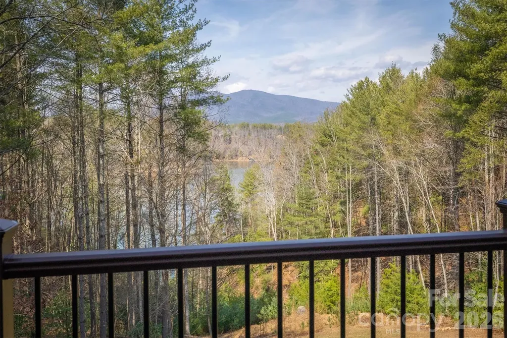 1195 Old Wildlife Club Drive Nebo NC 28761