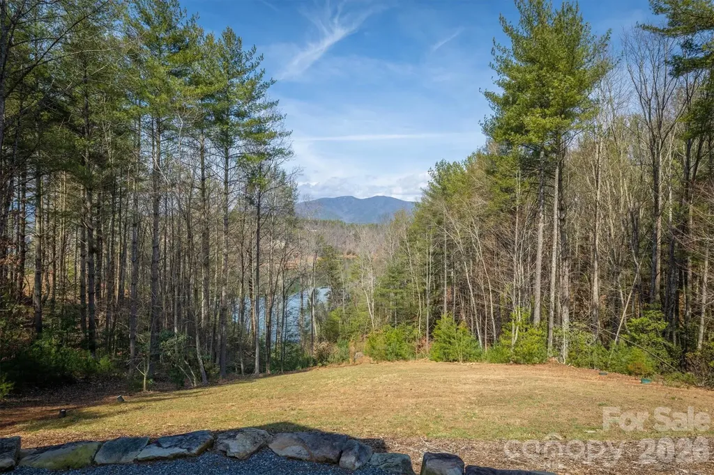 1195 Old Wildlife Club Drive Nebo NC 28761