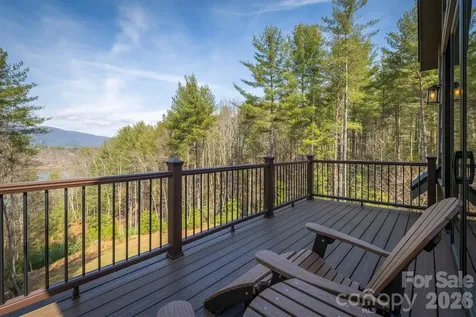 1195 Old Wildlife Club Drive Nebo NC 28761