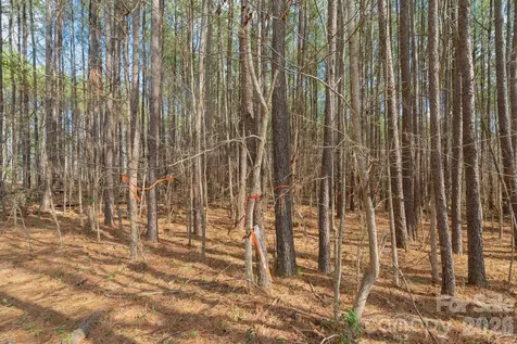 000 Horace Price Road Pageland SC 29728