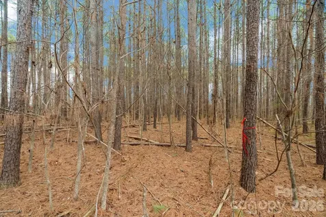 000 Horace Price Road Pageland SC 29728