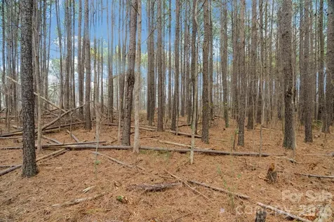 000 Horace Price Road Pageland SC 29728