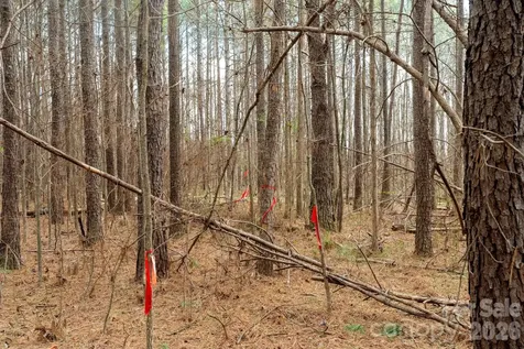 000 Horace Price Road Pageland SC 29728