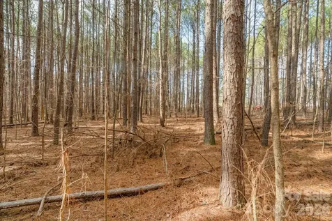 000 Horace Price Road Pageland SC 29728