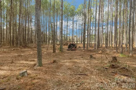000 Horace Price Road Pageland SC 29728