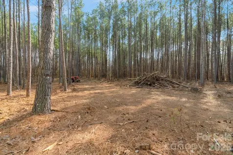 000 Horace Price Road Pageland SC 29728