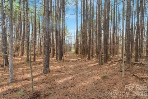 000 Horace Price Road Pageland SC 29728