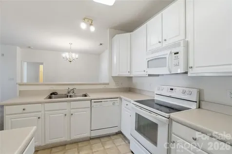 16742 Amberside Road E Cornelius NC 28031