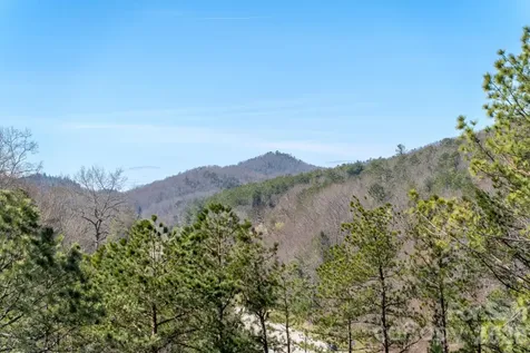 74 Jeranna Road Mills River NC 28759
