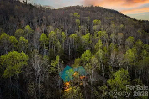 163 Bear Track Lane Vilas NC 28692