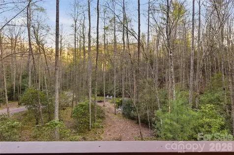 163 Bear Track Lane Vilas NC 28692