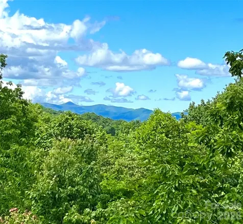 123 Isuhdavga Court Brevard NC 28712