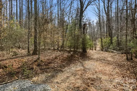 00002 Ray Hill Road Mills River NC 28759